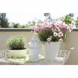 Cache-pot - PAGLIA - D 14 cm - Blanc