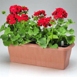 Jardinière - PAGLIA - 40 cm - Auto-irrigante - Bois