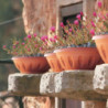 Pot de fleurs - ALBA - D 25 cm - Terracotta