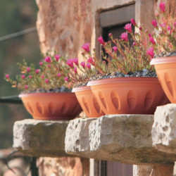 Pot de fleurs - ALBA - D 60 cm - Terracotta