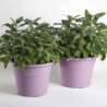 Pot de fleurs - HEDERA - D 25 cm - Lavande