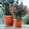 Pot de fleurs - ISIS - D 25 cm - Terracotta