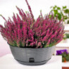 Pot de fleurs - PAGLIA - D 30 cm - Anthracite