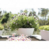 Pot de fleurs - PAGLIA - D 30 cm - Blanc
