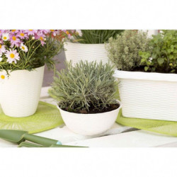 Pot de fleurs - PAGLIA - D 40 cm - Blanc