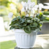 Pot de fleurs - TERRA - D 30 cm - Blanc
