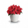 Pot de fleurs - TERRA - D 35 cm - Blanc