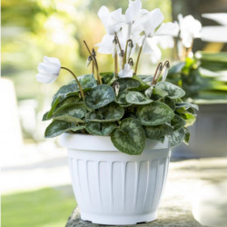 Pot de fleurs - TERRA - D 35 cm - Blanc