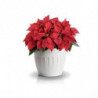 Pot de fleurs - TERRA - D 40 cm - Blanc