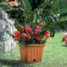 Pot de fleurs carré - TERRA - 30 x 30 cm - Terracotta