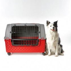 Cage de transport pour animaux - Easy Tour - 88 x 52 cm - Rouge