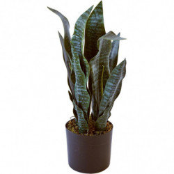 Plante artificielle - Olla Vert - H 45 cm - Peva