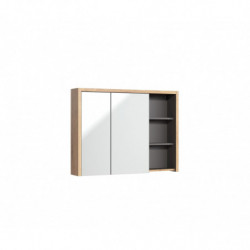 Armoire miroir mural - 100...