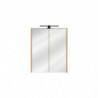 Armoire miroir mural - 60 x 16 x 72 cm - Duramen