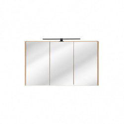 Armoire miroir mural - 120 x 16 x 72 cm - Duramen