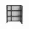 Armoire miroir mural - 60 x 16 x 75 cm - Monako Grey