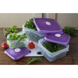 Lot de 3 Tupperware Freska Square - Tailles différentes