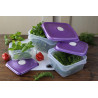 Lot de 3 Tupperware Freska Square - Tailles différentes