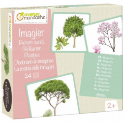 Imagier - Arbres - Jeu...