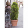 Pot de fleurs - Vite - D 30 cm - Terracotta