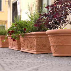 Pot de fleurs - Vite - D 30 cm - Terracotta