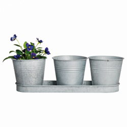 Lot de 3 pots à fleurs avec...