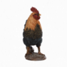 Figurine décorative intérieur ou extérieur - Coq S - H 24 cm