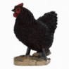 Figurine décorative intérieur ou extérieur - Poule debout - H 19,8 cm - Noir