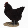 Figurine décorative intérieur ou extérieur - Poule debout - H 19,8 cm - Noir