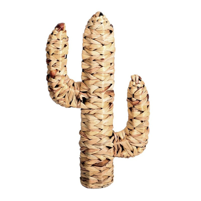 Cactus en jacinthe - Naturel Living - 45 x 25 cm - Beige