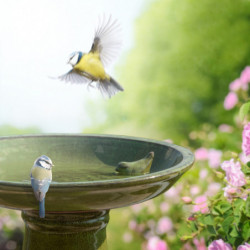 Bain oiseau sur pied céramique vert - D 42 x H 47 cm - Terre cuite