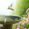 Bain oiseau sur pied céramique vert - D 42 x H 47 cm - Terre cuite