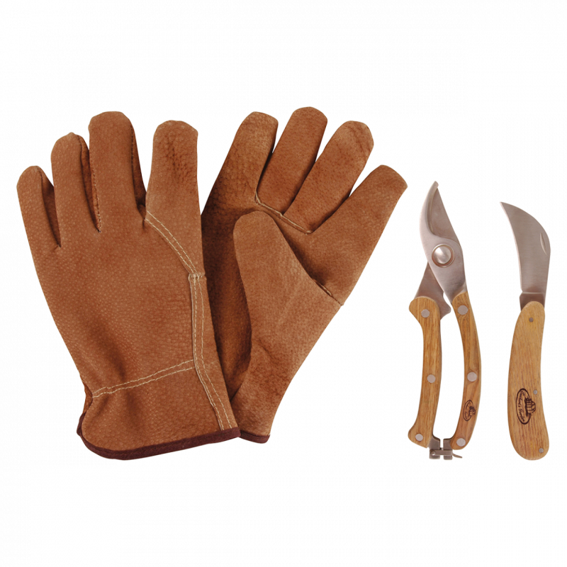 Set de 3 outils pour petits travaux d'élagage - Sécateur couteau d'élagage gants en cuir - inox, frêne et cuir