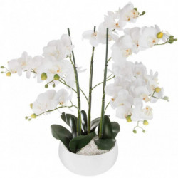 Orchidée artificielle - H 65 cm - Blanc