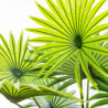 Palmier artificiel - H 120 cm - Multicolore