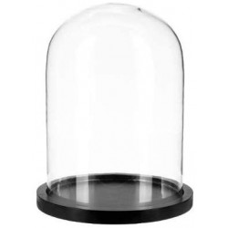 Cloche en verre sur socle...