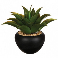 Aloe Vera - D. 30 x H. 31 cm - Noir
