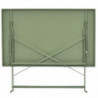 Table à manger d'extérieur pliante rectangle en inox - Vert - L 110 x H 71 x l 70 cm