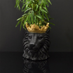 Cache pot tête de lion couronné en magnesia - Noir et doré - H 39,5 x D 30 cm