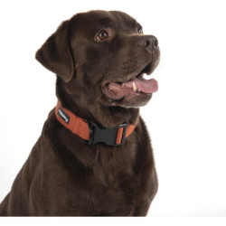 Collier règlable pour chien en viscose de bambou - Gris anthracite - Taille L (de 50 à 70 cm)