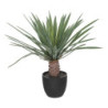 Palmier avec pot plastique "Dolce Riviera" - Vert/Noir - H 52 cm