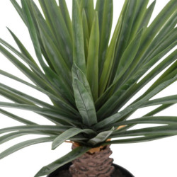 Palmier avec pot plastique "Dolce Riviera" - Vert/Noir - H 52 cm