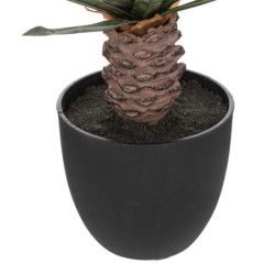 Palmier avec pot plastique "Dolce Riviera" - Vert/Noir - H 52 cm