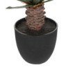 Palmier avec pot plastique "Dolce Riviera" - Vert/Noir - H 52 cm