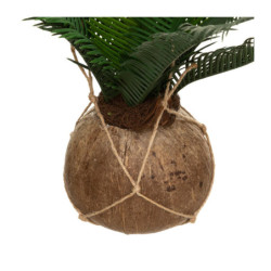 Palmier artificiel en pot coco "Cuba" - Vert/marron - H 50 cm