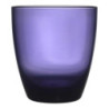 Lot de 24 Verres à Jus Incassables en Plastique Alimentaire Durable - 29cL - Lave-Vaisselle - Bleu violet rouge jaune