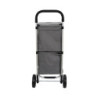 Chariot de Courses Isotherme 2 Compartiments Aluminium 43 x 35 x 99 cm Grande Capacité