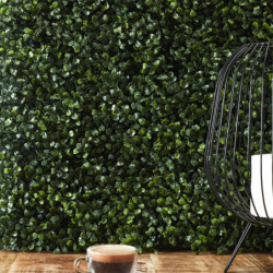 Plaque Murale Végétale Feuillage de Buis 50x50cm - Rendu Dense et Réaliste - Intérieur Extérieur