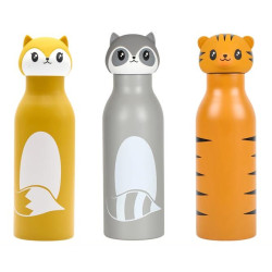 Lot de 3 Gourdes Isothermes...