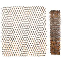 Treillis Extensibles en...